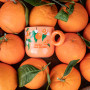 Bialetti Fruit Vibes hrnky 350 ml – set 2 ks